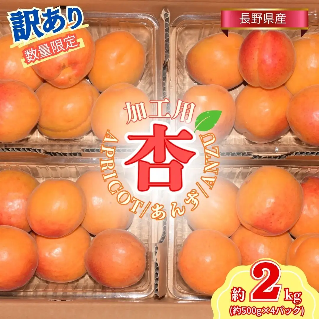 【2027年先行予約】訳あり あんず おまかせ加工用 計約2kg（約500g×4パック）| あんず