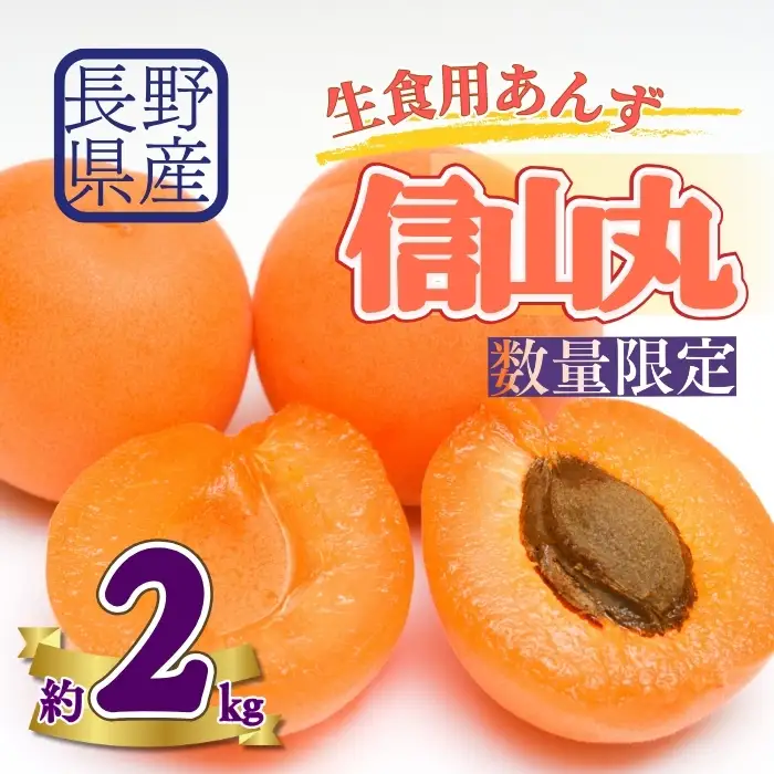 【2027年先行予約】生食用あんず信山丸 バラ詰め約2kg| あんず