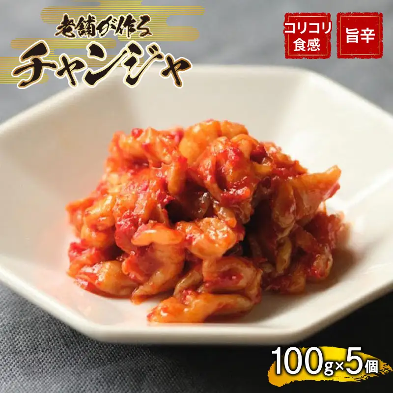 チャンジャ 500g 手作り キムチ キムチ IQ