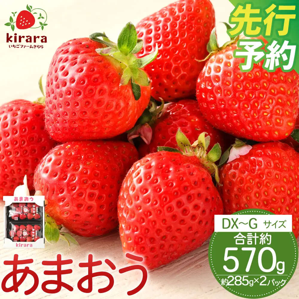 あまおう 約570g 約285g×2パック いちごファームきらら 冷蔵【ふくおかエコ農産物認証】【2027年2月上旬-3月下旬発送予定】