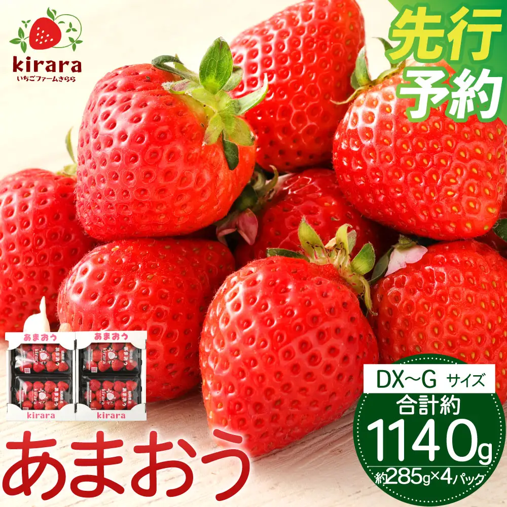 あまおう 約1140g 約285g×4パック いちごファームきらら 冷蔵【ふくおかエコ農産物認証】【2027年2月上旬-3月下旬発送予定】