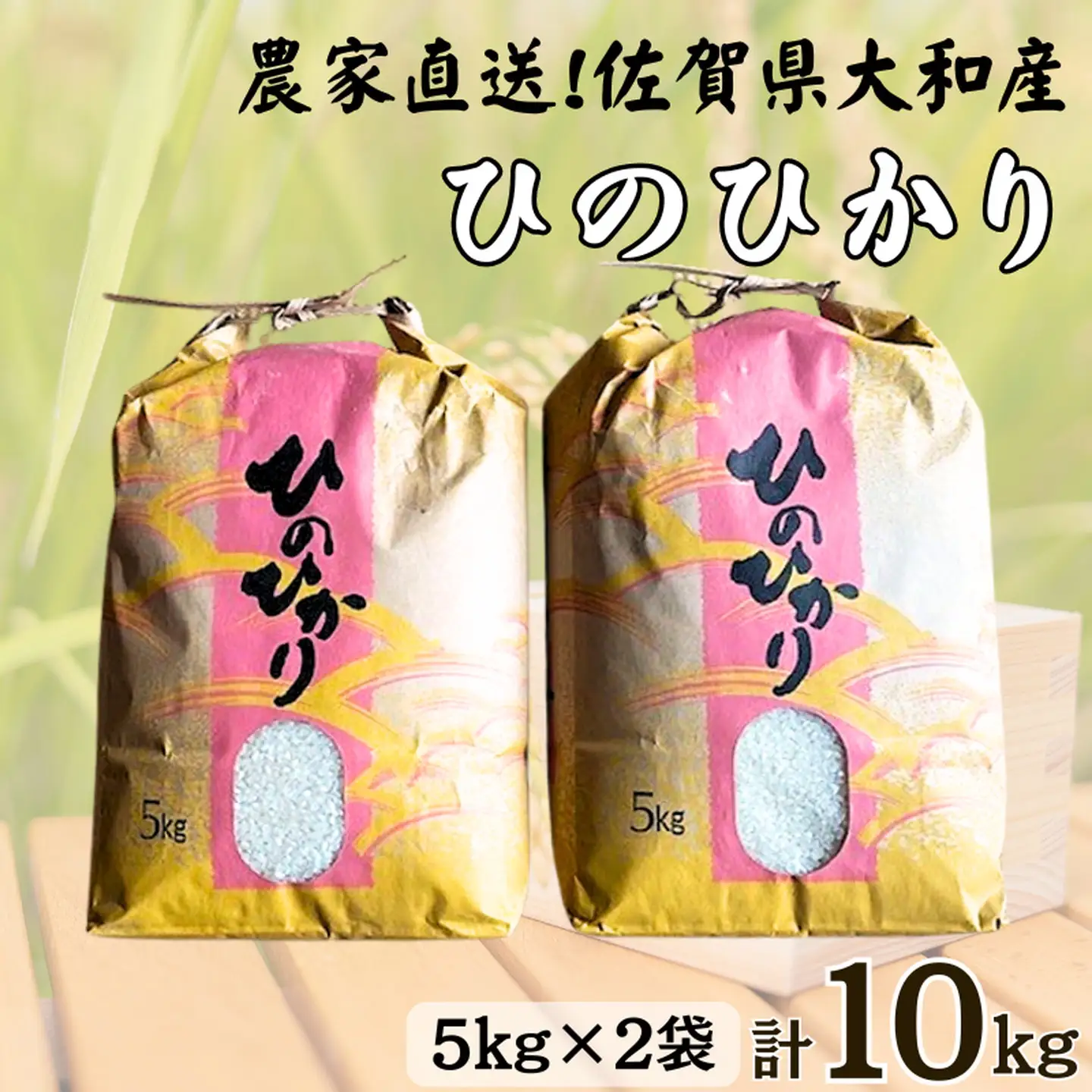 佐賀県大和産「ひのひかり」5kg×2袋 米 農家直送：B320-018