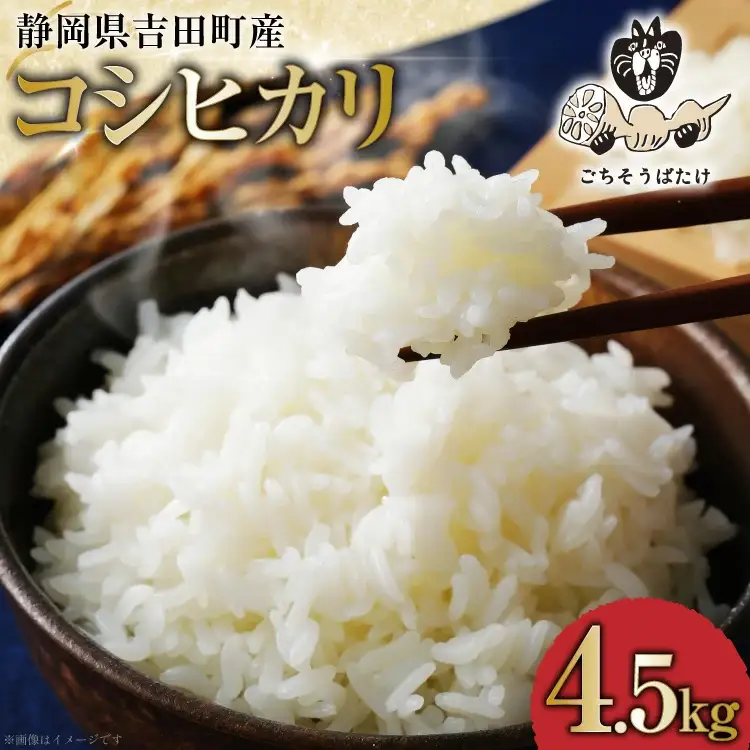 【期間限定発送】 米 令和7年 コシヒカリ 4.5kg