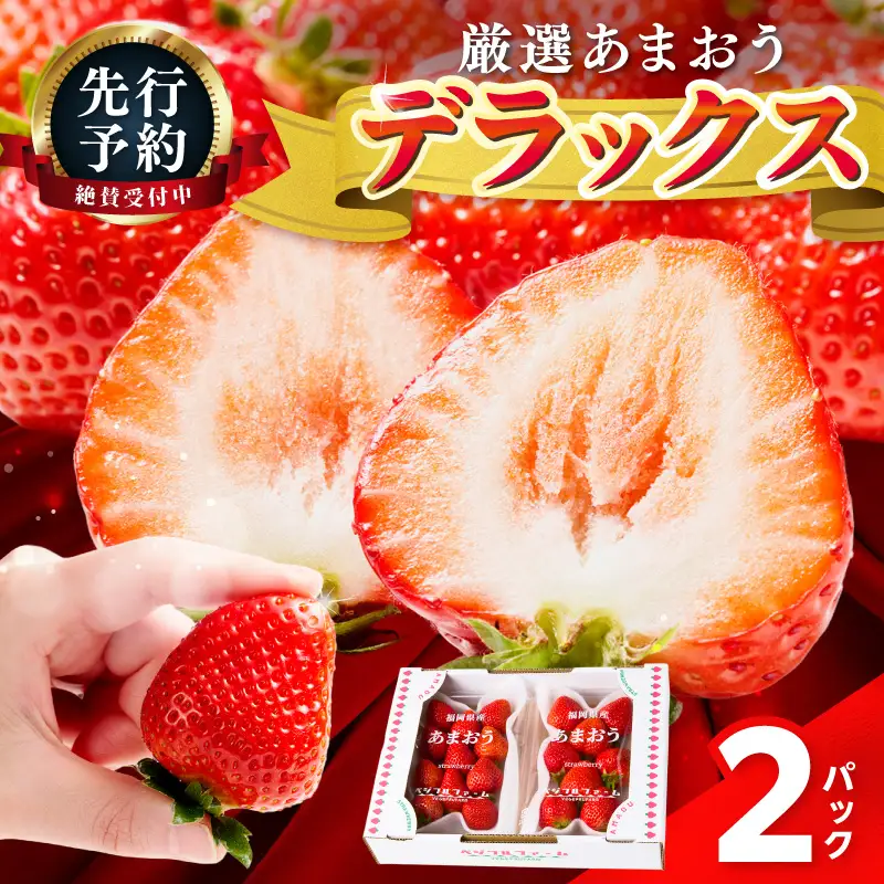 【2027年先行予約】あまおうデラックス(2パック)【044-0074】