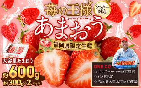 【予約受付】選べる大容量あまおう 600g 大粒 不揃い 選べる大容量あまおう （2L,グランデ,DX デラックス）減農薬 あまおう いちご 高級 いちごあまおう イチゴ 苺 フルーツ 果物 ふるさと納税くだもの amaou 福岡県 【2027年3月上旬～下旬発送予定】