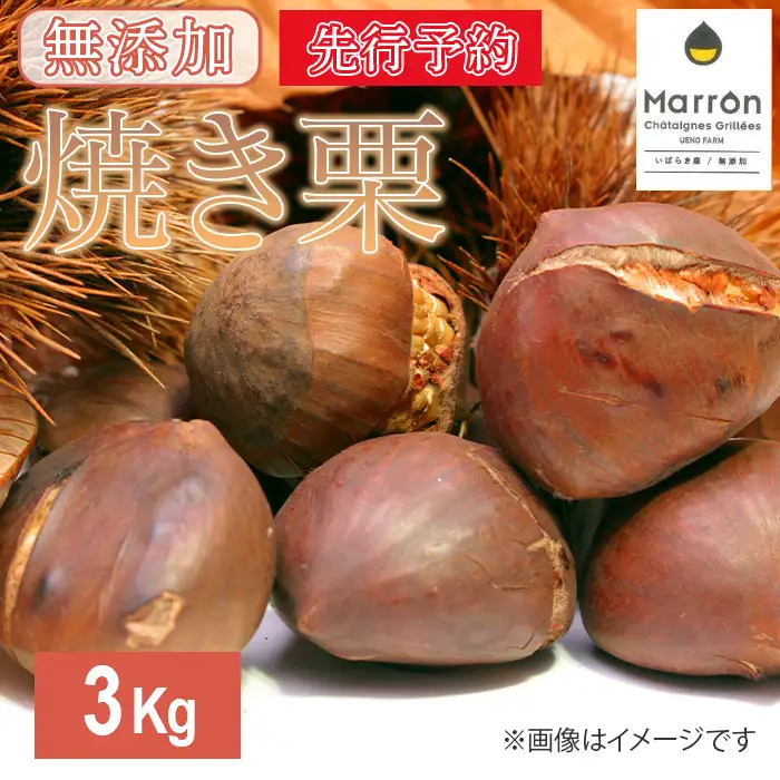 619 茨城県産焼き栗 3kg(300g×10個入)【ウエノファーム】