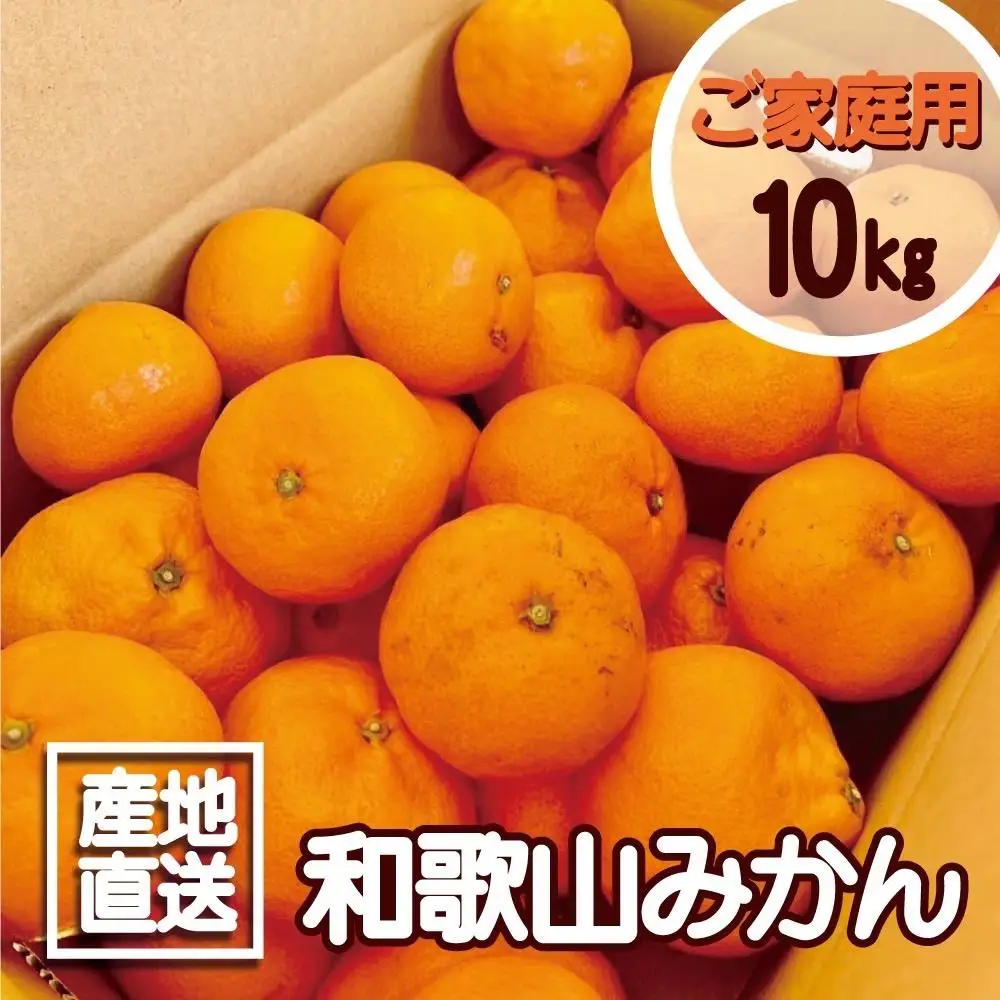 【訳あり】和歌山みかん約9.5kg+補償分約500g サイズ混合 11月より順次発送 訳ありみかん 【red1】