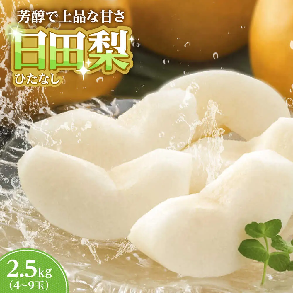 旬の梨 約2.5kg  ARET007 日田 梨