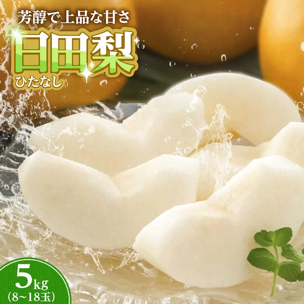 【先行予約】日田梨 約5kg 旬の梨 果物【配送不可地域：離島】 [ARET008]