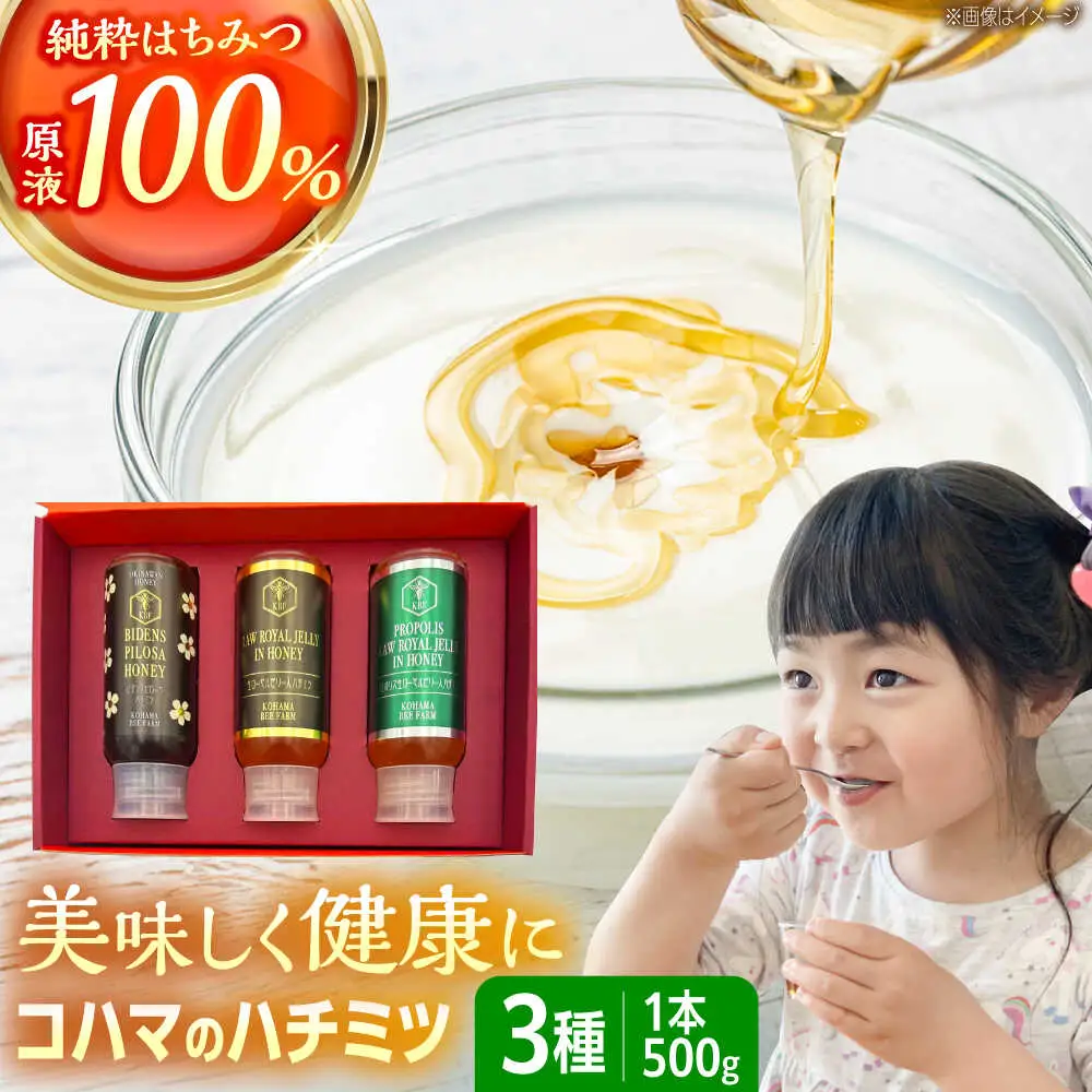 蜂蜜 コハマのハチミツ 500g 3本セット  BCAQ005