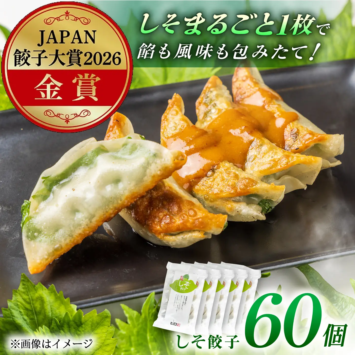 【5パック】餃子屋ヒロの 人気のしそ餃子 ぎょうざ[BDAS003-3]