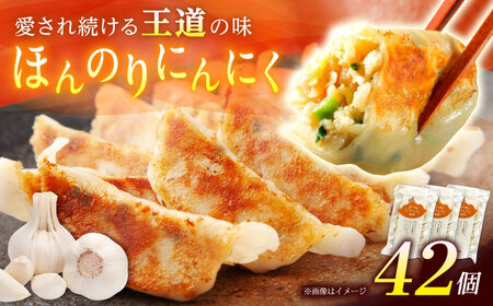 【3パック】餃子屋ヒロの ほんのりにんにく餃子 ぎょうざ[BDAS005-2]