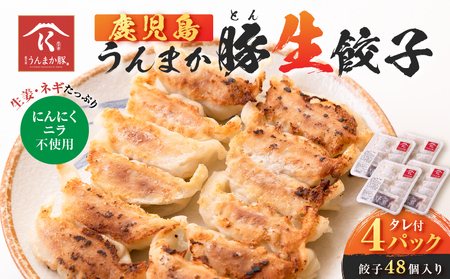 鹿児島うんまか 豚 生餃子 4パック（ 餃子 48個入り・ タレ付 ） K005-003_01 肉 豚肉 惣菜 総菜 冷凍