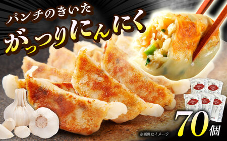 【5パック】餃子屋ヒロの がっつりにんにく餃子 ぎょうざ[BDAS004-3]