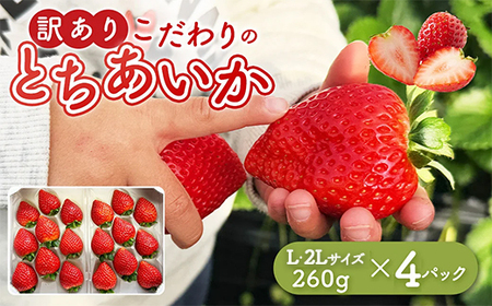 「訳あり」とちあいか 260g×4パック 1パック9粒〜11粒入り（Lまたは2Lサイズ） いちご 苺 栃木県 ※2027年1月～発送