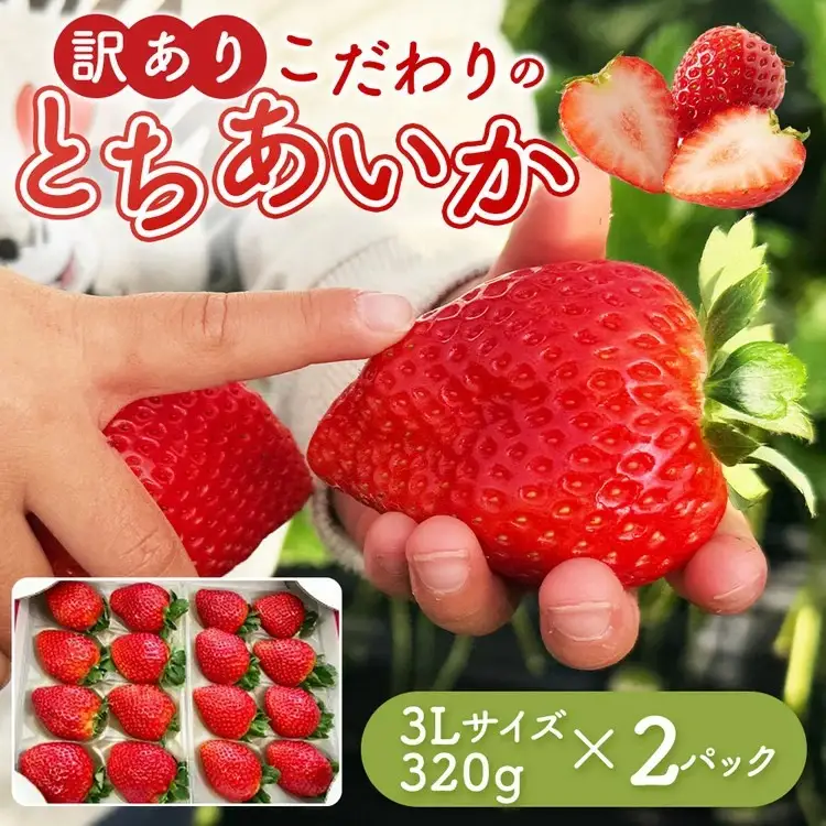 「訳あり」とちあいか 3Lサイズ 320g×2パック いちご 苺 栃木県 ※2027年1月～発送