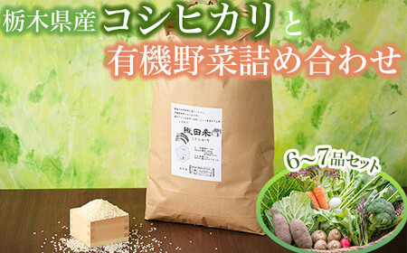 【限定20セット】農薬不使用栃木県産コシヒカリ令和6年産白米3kgと有機野菜6～7品セット 詰め合わせ やさい 採れたて お米 おこめ 有機JAS認証 ※北海道・沖縄・離島への配送不可