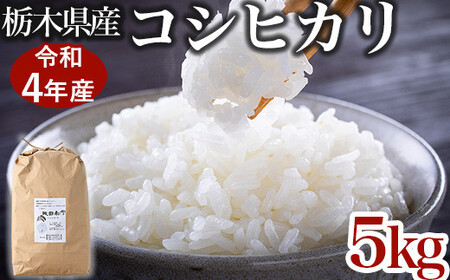 【限定35セット】令和4年産お米5kg 農薬不使用 栃木県産コシヒカリ 白米 おこめ 米 国産