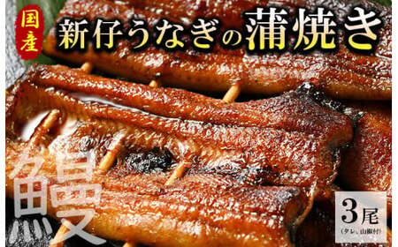 国産新仔うなぎの蒲焼き3尾（タレ、山椒付）うなぎ 鰻 ウナギ 土用 丑の日 冷凍 グルメ 真空パック ◇