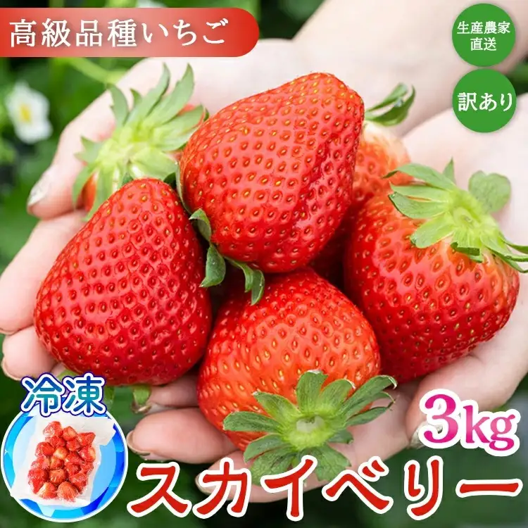 生産農家直送 高級品種☆無選別訳あり 冷凍 いちご 栃木県壬生町産スカイベリー3kg（500g×6）｜果物 
