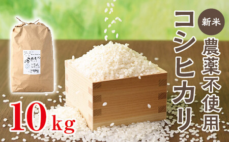 令和6年産 新米 無農薬「コシヒカリ」10kg お米 こしひかり 栃木県壬生町