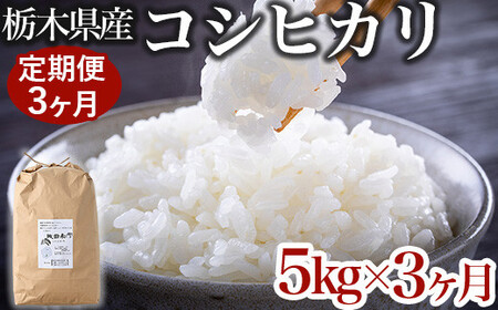 【限定15セット】【定期便3ヶ月】令和6年産お米5kg 農薬不使用 栃木県産コシヒカリ 白米 おこめ 米 国産