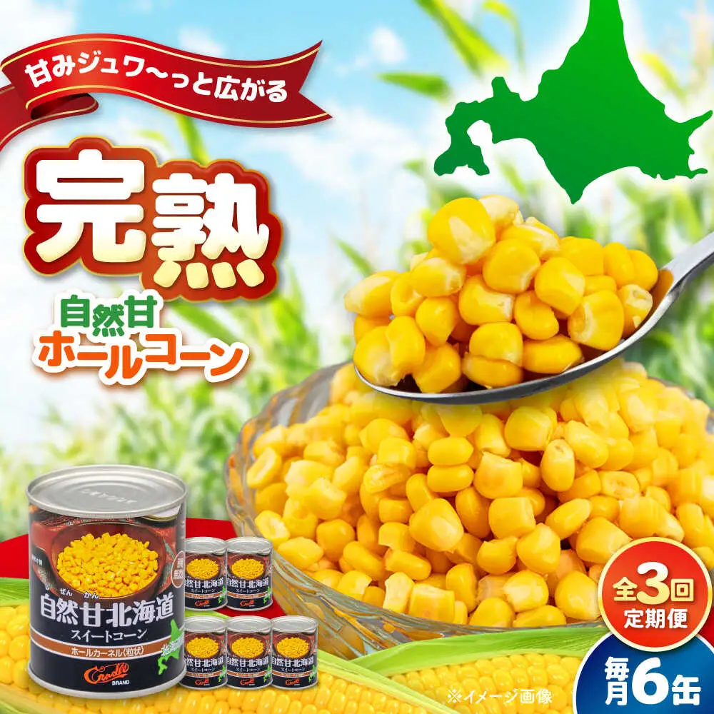 【全3回定期便】自然甘 ホールコーン 6缶【きもべつ観光協会】 缶詰 瓶詰 加工品 とうもろこし 北海道 常温配送 [AJAG032]