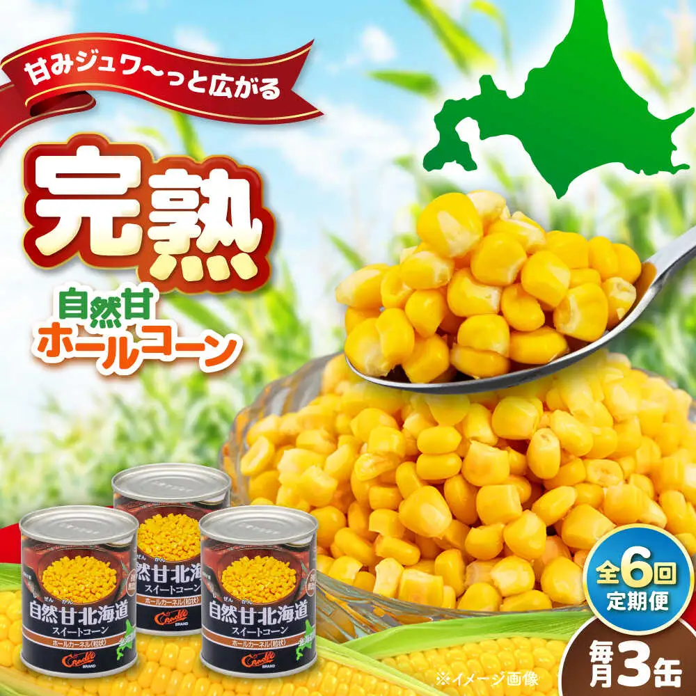 【全6回定期便】自然甘 ホールコーン 3缶【きもべつ観光協会】 缶詰 瓶詰 加工品 とうもろこし 北海道 常温配送 [AJAG037]