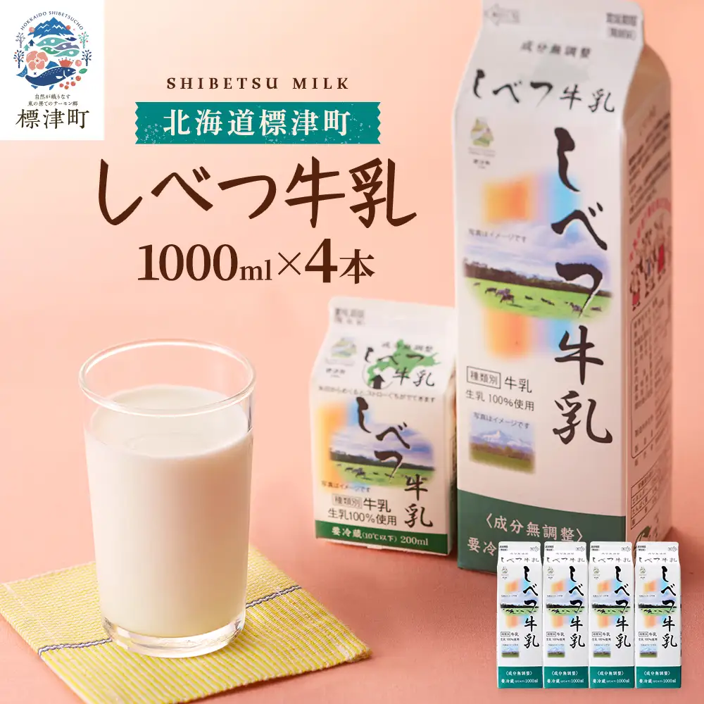 しべつ牛乳1L×4本 北海道 パックミルク 牛乳【配送不可地域：離島】【AE002】