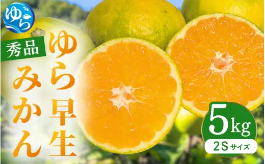 ゆら早生みかん 秀品 2Sサイズ 5kg 贈答用※2026年10月上旬～11月中旬頃に順次発送予定 / ゆら早生 柑橘 極早生 フルーツ 果物 くだもの 食品 人気 おすすめ 送料無料 由良町 【ksmt003-r-5】