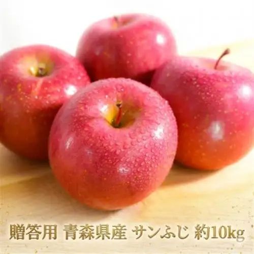 【26年11月～翌年1月出荷予定】平均糖度13度以上! サンふじ 約10kg 贈答用　青森りんご_果物・フルーツ りんご  リンゴ 林檎_【配送不可地域：離島・沖縄県】【1612828】