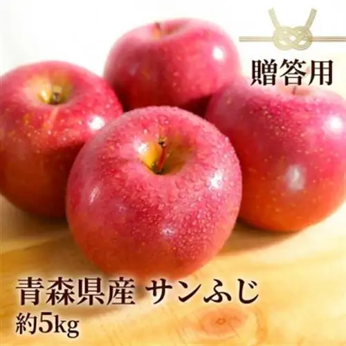 【11月～翌年1月まで出荷予定】青森県産りんご サンふじ 約5kg 贈答用 平均糖度13度以上!_果物・フルーツ りんご  リンゴ 林檎_【配送不可地域：離島・沖縄県】【1612829】