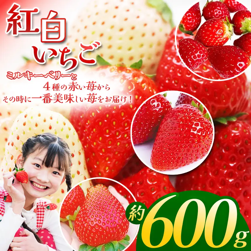 【ふるさと納税】【先行予約】紅白いちご300g×2 | 栃木県 下野市