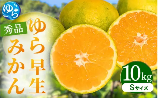 ゆら早生みかん 秀品 Sサイズ 10kg 贈答用※2026年10月上旬～11月中旬頃に順次発送予定 / ゆら早生 柑橘 極早生 フルーツ 果物 くだもの 食品 人気 おすすめ 送料無料 由良町 【ksmt003-r-s-10】