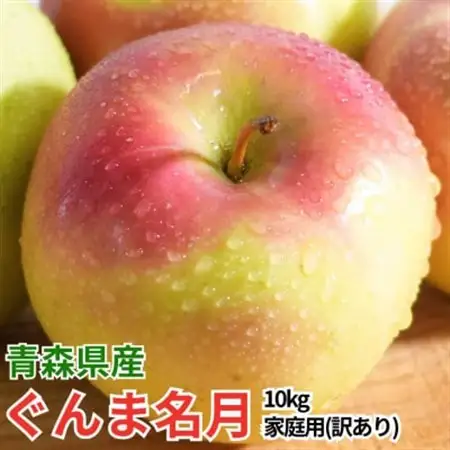 【26年11月~翌年3月出荷】平均糖度13度以上! ぐんま名月 約10kg 訳あり りんご 青森県産_果物・フルーツ りんご  リンゴ 林檎_【配送不可地域：離島・沖縄県】【1612892】