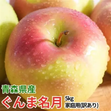 【26年11月~翌年3月出荷】平均糖度13度以上! ぐんま名月 約5kg 訳あり りんご 青森県産_果物・フルーツ りんご  リンゴ 林檎_【配送不可地域：離島・沖縄県】【1612893】