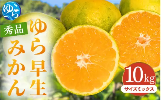 ゆら早生みかん 秀品 サイズミックス 10kg 贈答用※2026年10月上旬～11月中旬頃に順次発送予定/ ゆら早生 柑橘 極早生 フルーツ 果物 くだもの 食品 人気 おすすめ 送料無料 由良町 【ksmt003-r-mix-10】