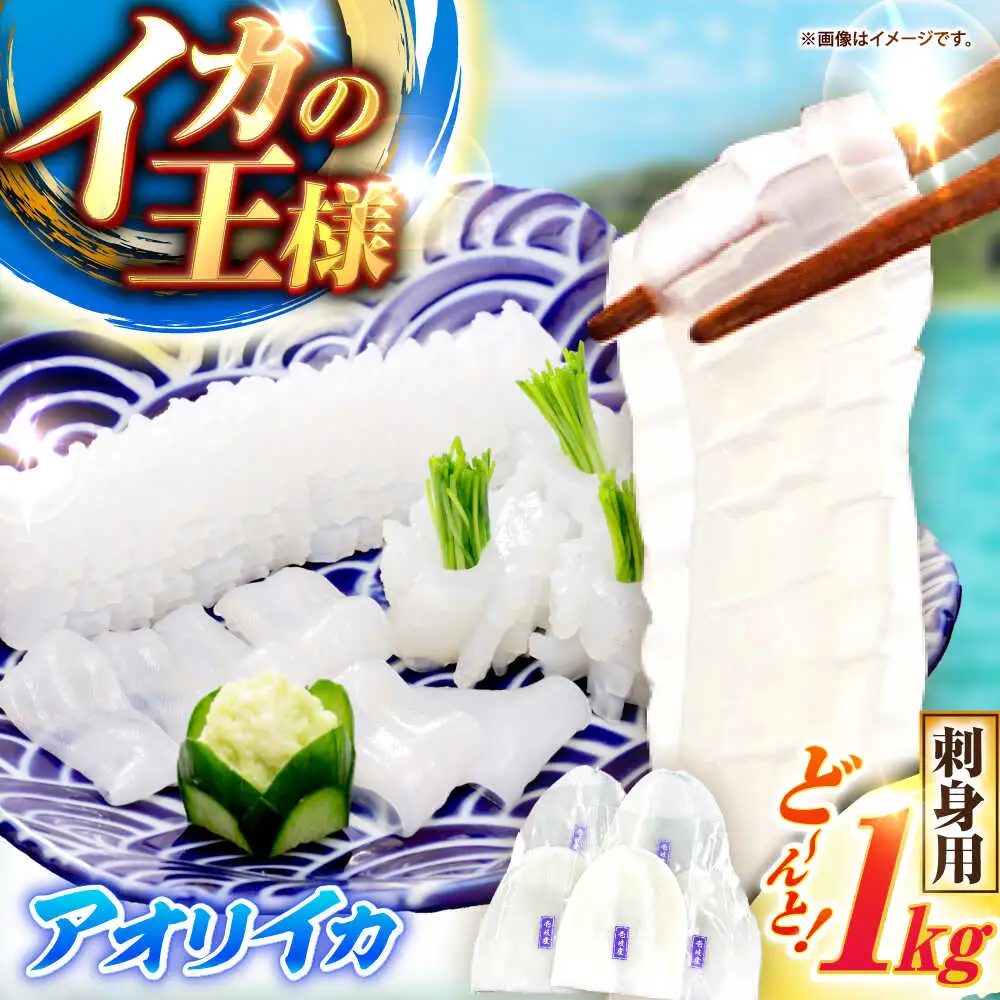 アオリイカ（刺身用） 1kg [JCC020] イカ