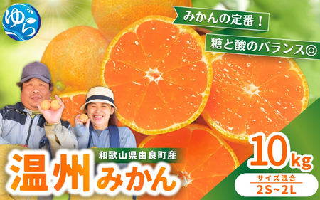 温州みかん 10kg 2S～2Lサイズ混合 11月発送※2026年11月中旬頃～11月下旬頃に順次発送予定 【nktn004-r-10-nov】 