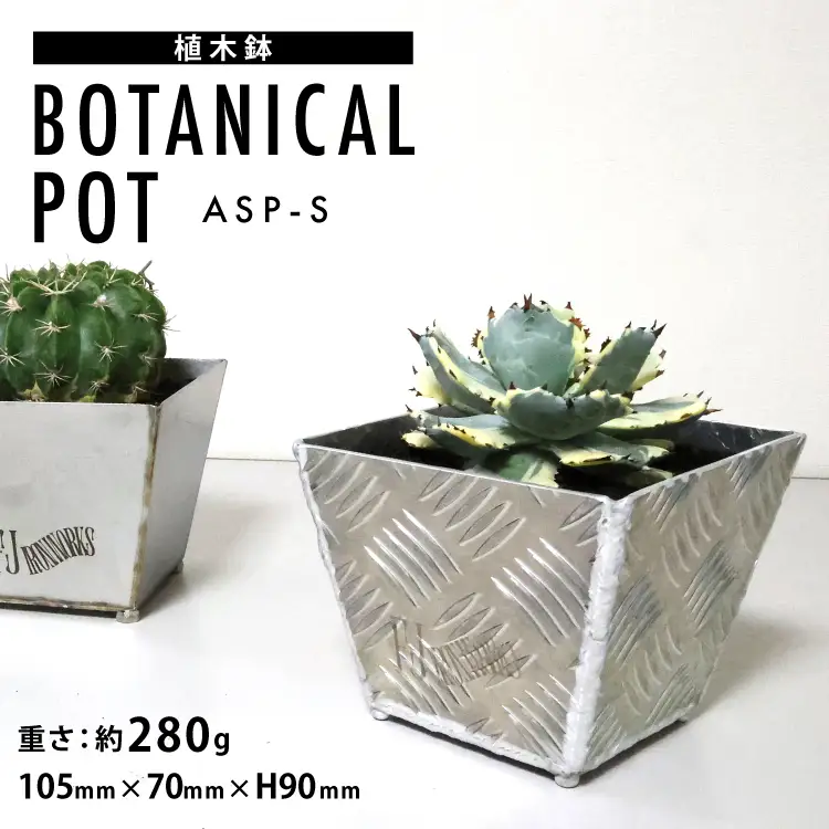 植木鉢 BOTANICAL POT ASP-S 1点 