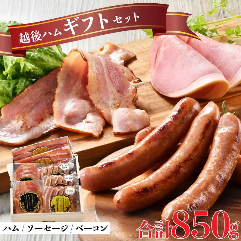 ハム 国産 越後もち豚 ハム ベーコン ソーセージ 5種 詰め合わせ ハム ギフトセット 越後ハム 贈答 お中元 お歳暮 ギフト 熨斗 包装 指定日 お祝い 人気 おすすめ ベーコン 新発田市 J54