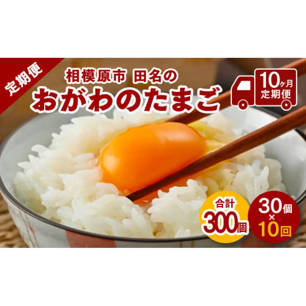 【10ヶ月定期便】【毎月後半発送】相模原市田名のおがわのたまご　ピンク卵 Mサイズ 30個(27個＋割れ補償3個)×10か月　国産 濃厚 コク 旨味｜たまご