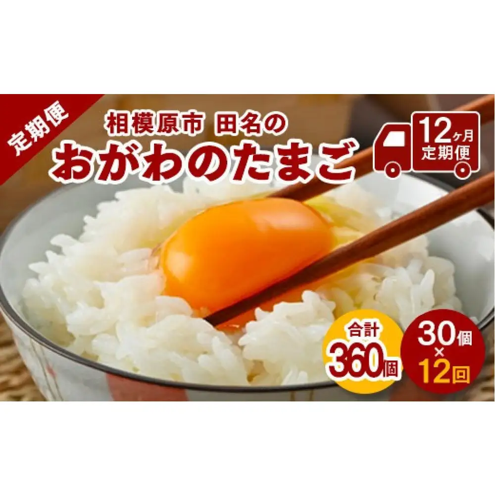 【12ヶ月定期便】【毎月後半発送】相模原市田名のおがわのたまご　ピンク卵　Mサイズ 30個(27個＋割れ補償3個)×12か月   国産 濃厚 コク 旨味｜たまご