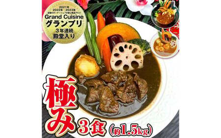 冷凍 スープカレー 極み 3食 セット 計約1.5kg ／ ビーフ 薬膳 エビ カレー レトルトカレー レトルト食品 詰め合わせ