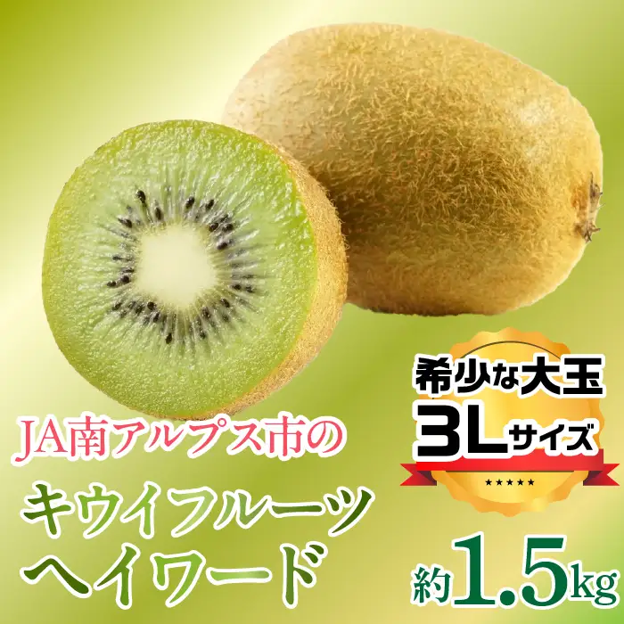 ＜2026年発送先行予約＞キウイフルーツ（ヘイワード）3Lサイズ 約1.5kg ALPAA052