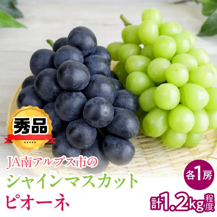 【2027年(令和9年)発送先行予約】来年発送！！シャインマスカットとピオーネ 約1.2kg(各1房) 秀品  ALPAA053