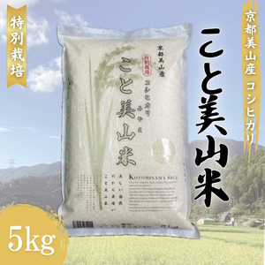 令和6年産 お米 コシヒカリ こと美山米 5kg 米 お米
