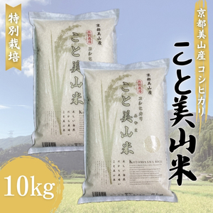 令和6年産 お米 コシヒカリ こと美山米 10kg 米 お米