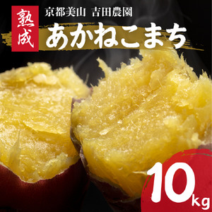 産地直送 さつまいも 10kg 熟成 あかねこまち 京都丹波産 【※予約商品26年12月より順次発送】