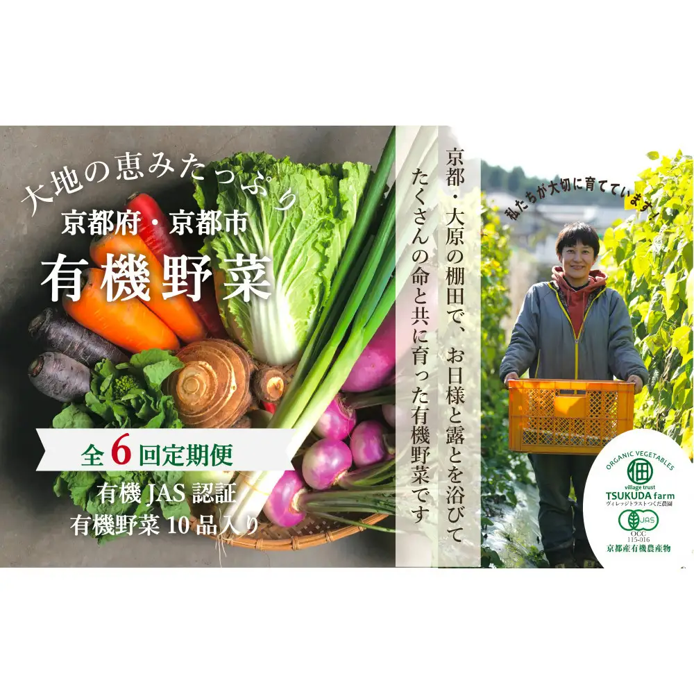 ◆全6回定期便◆【つくだ農園】《有機JAS認証 有機野菜10品入り》京都の棚田大原で心を込めて大切に露地栽培された大地の恵みたっぷりの有機野菜!